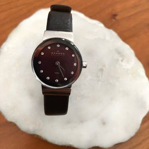 Skagen Watch